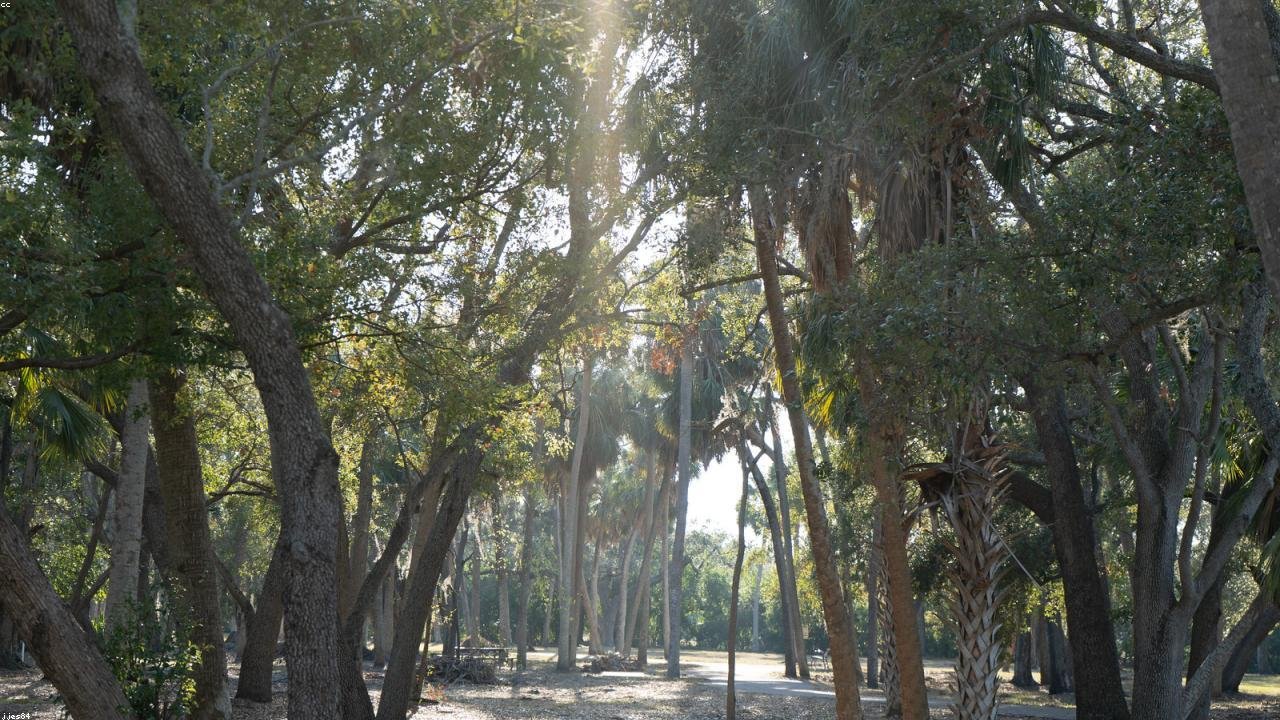 Land Clearing